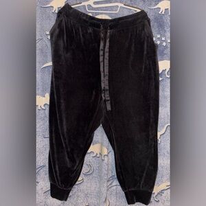 Torrid Velour Joggers Size 2